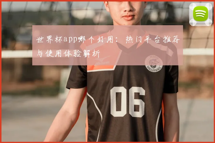 世界杯app哪个好用：热门平台推荐与使用体验解析