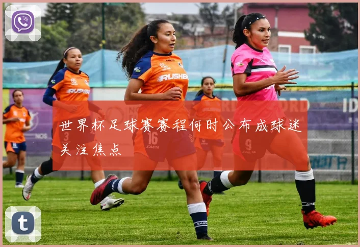 世界杯足球赛赛程何时公布成球迷关注焦点