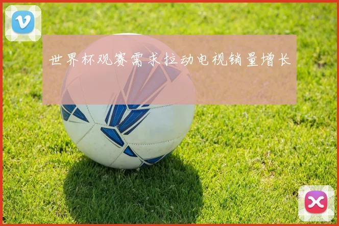 世界杯观赛需求拉动电视销量增长